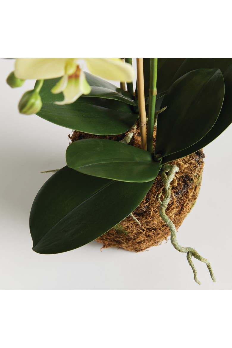 Phalaenopsis Orchid Artificial Plant Drop-In, Alternate, color, Yellow