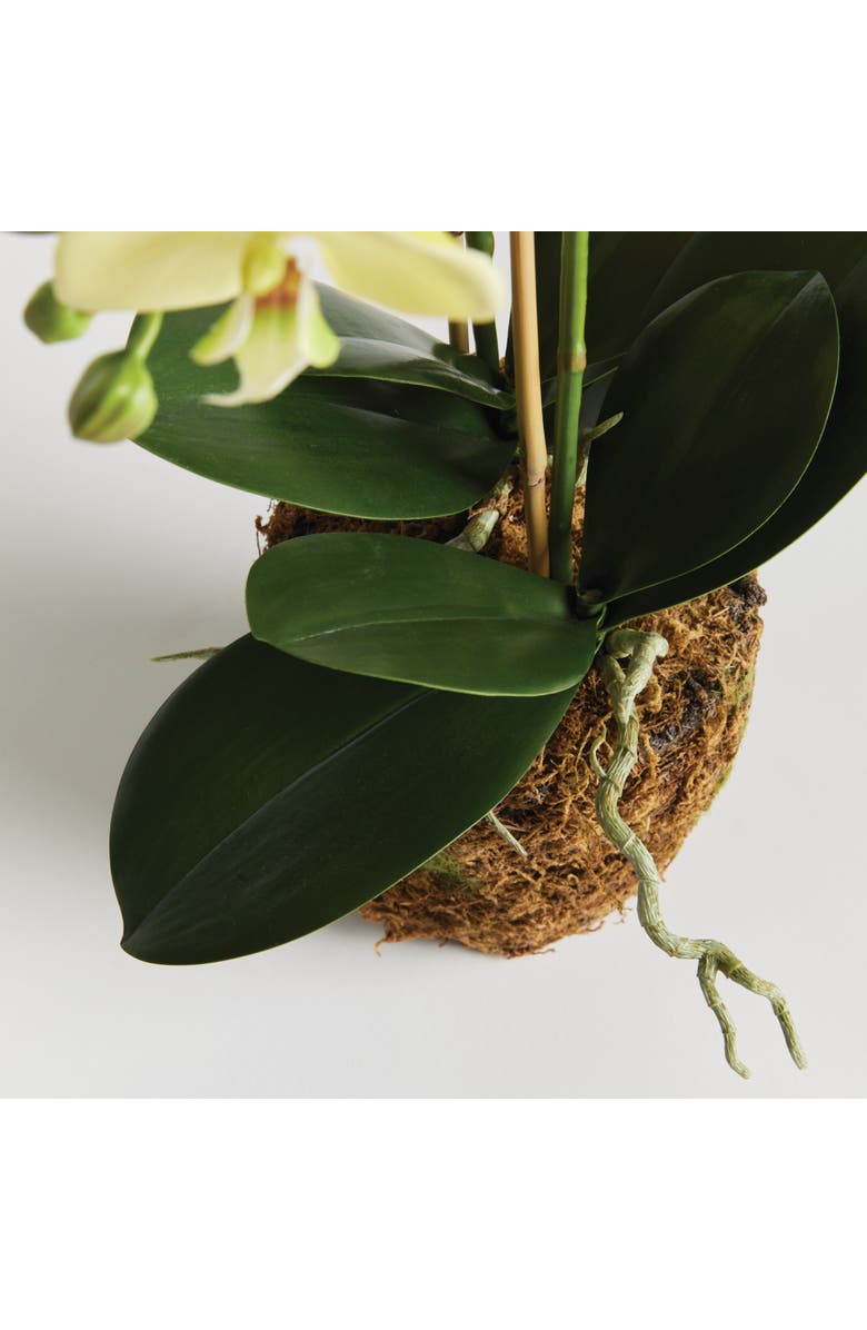 Napa Home & Garden Phalaenopsis Orchid Artificial Plant Drop-In, Alternate, color, Yellow