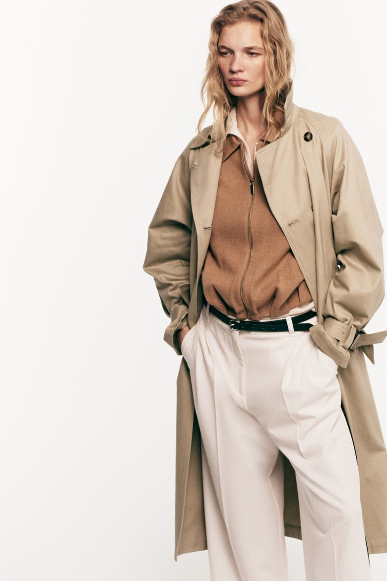 Oversized Zip-through Cardigan, Alternate, color, Dark beige