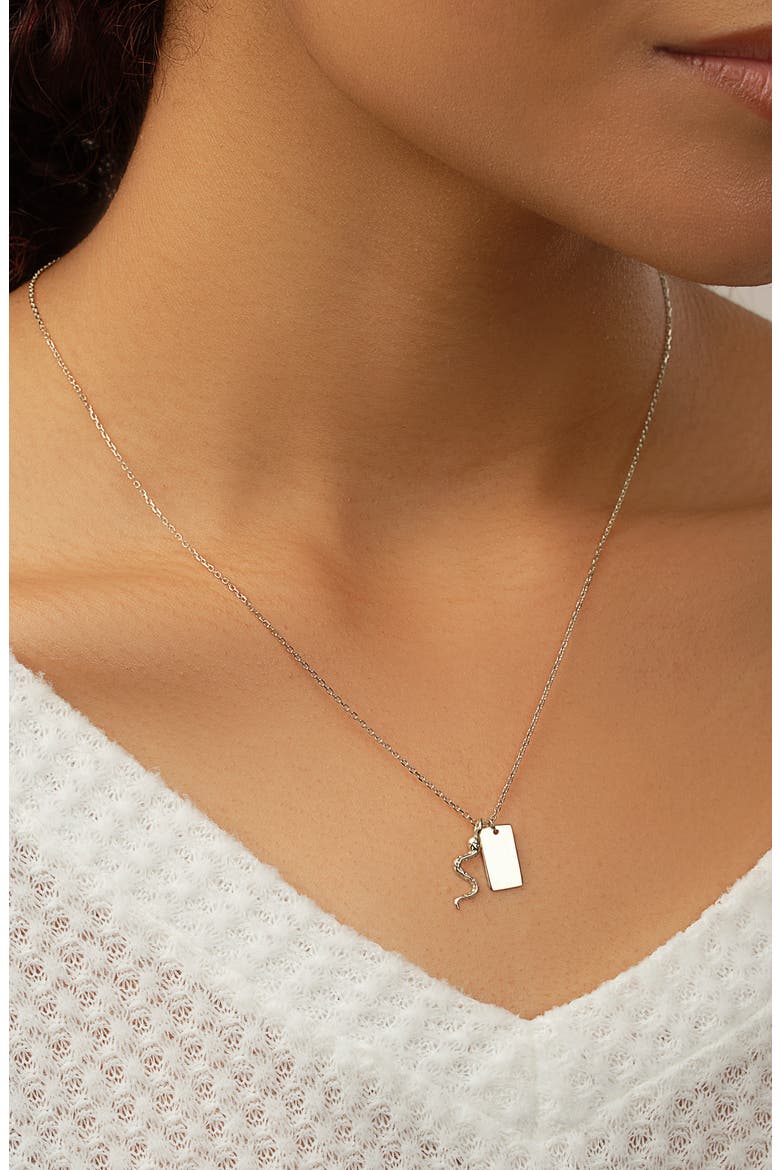 Bella Pendant Necklace, Alternate, color, SILVER