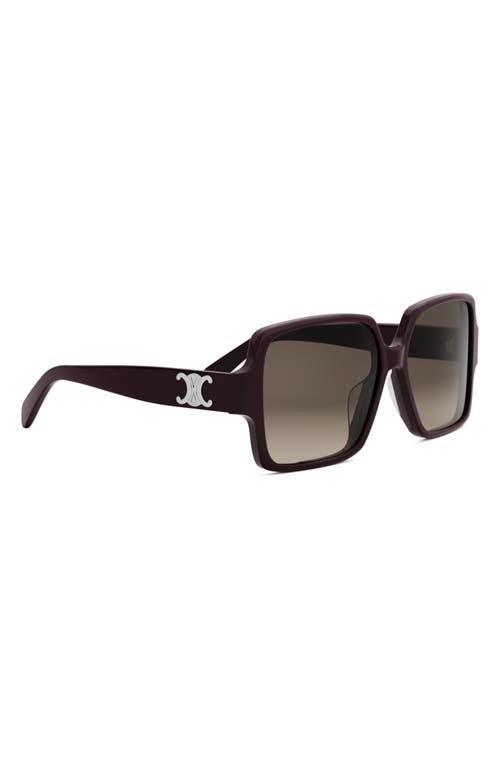 Celine Triomphe 60mm Square Sunglasses In Black
