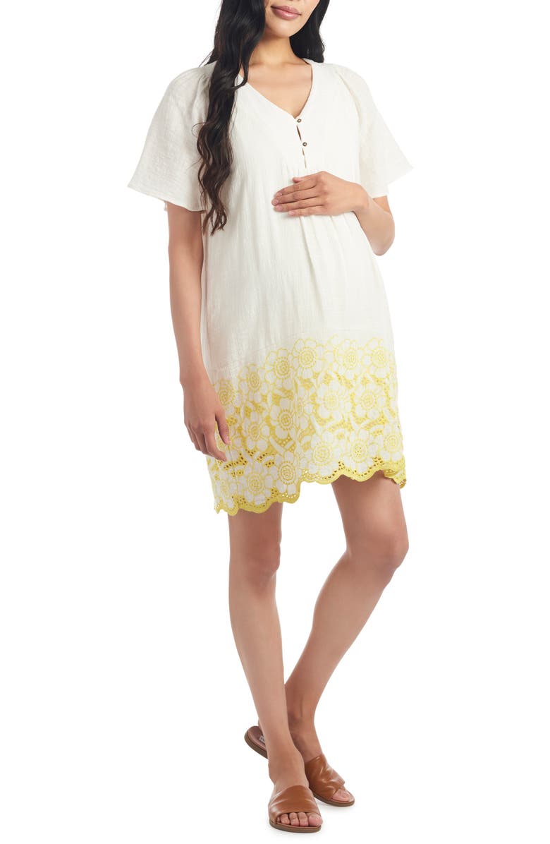 Everly Grey Paula Maternity/Nursing Shift Dress, Main, color, 