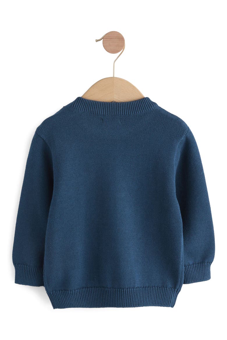 Kids' Raccoon Appliqué Sweater, Alternate, color, BLUE
