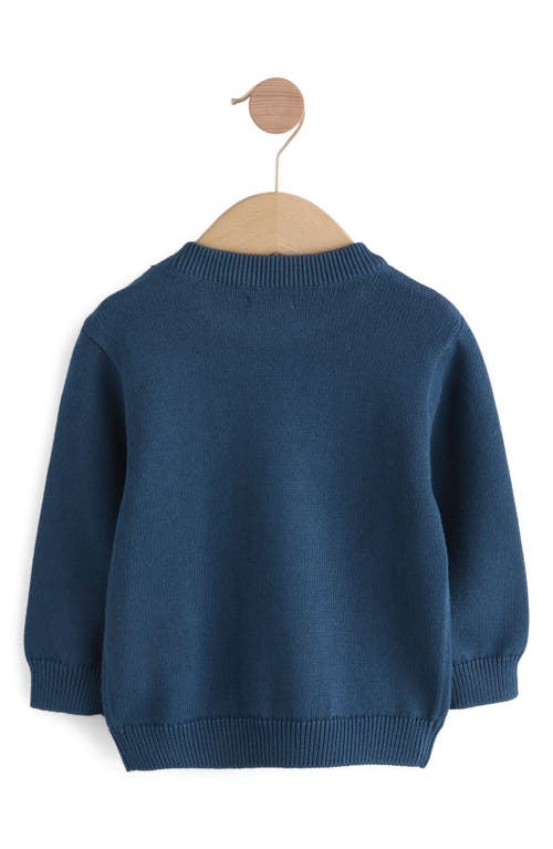 Next Kids' Raccoon Appliqué Sweater In Blue