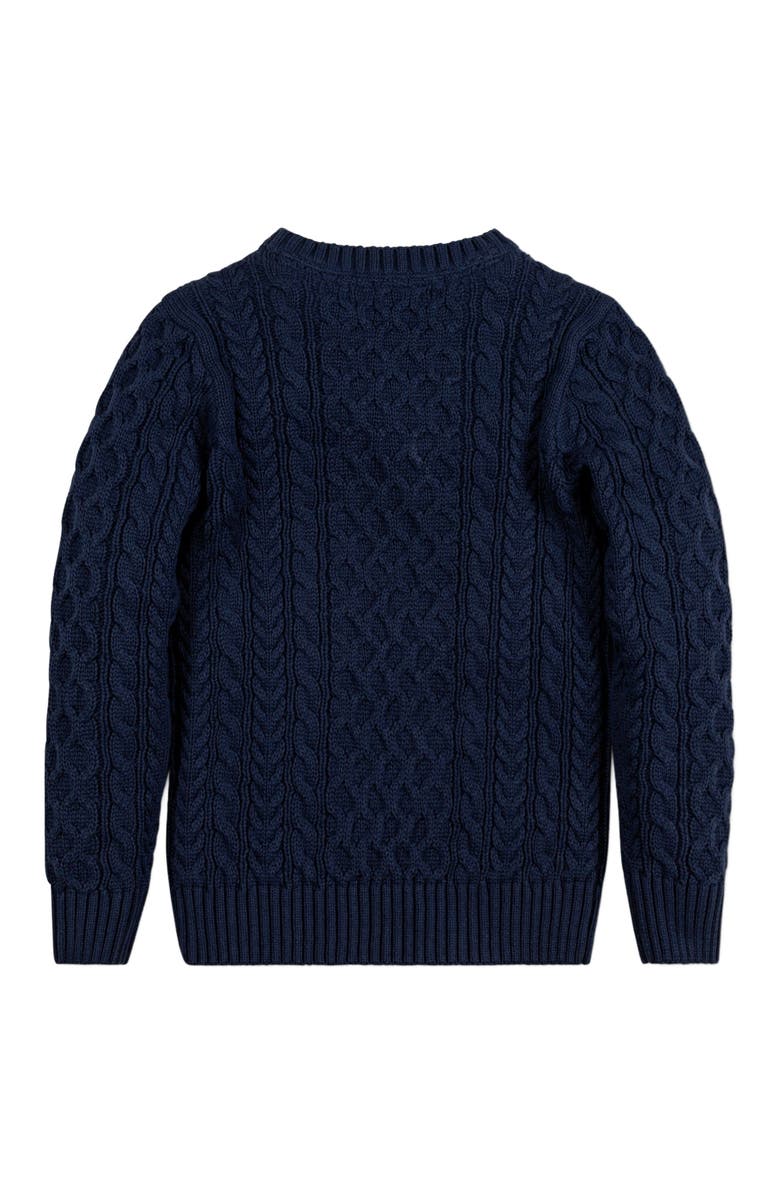 Hope & Henry Boys' Organic Fisherman Sweater, Kids, Alternate, color, 