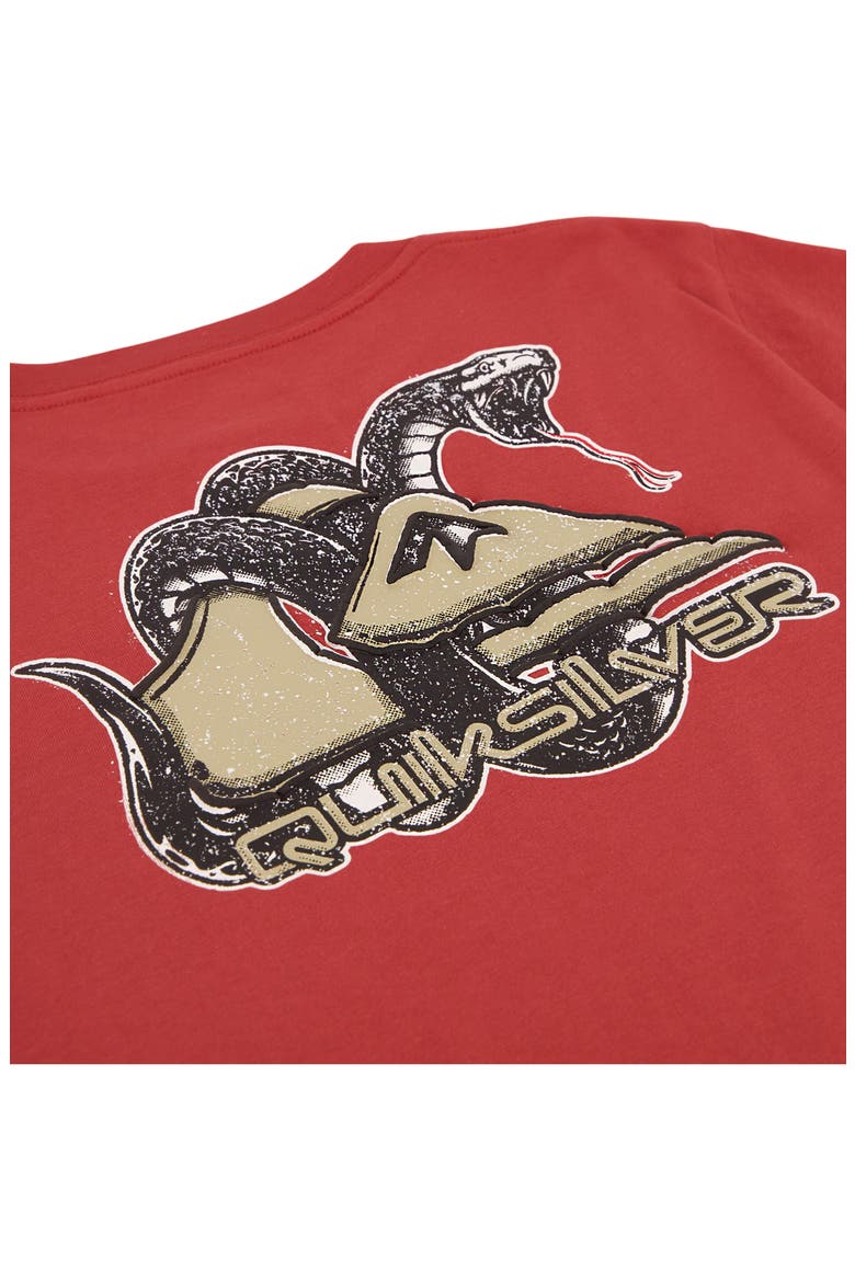 Kids' Serpentine Graphic T-Shirt, Alternate, color, MINERAL RED