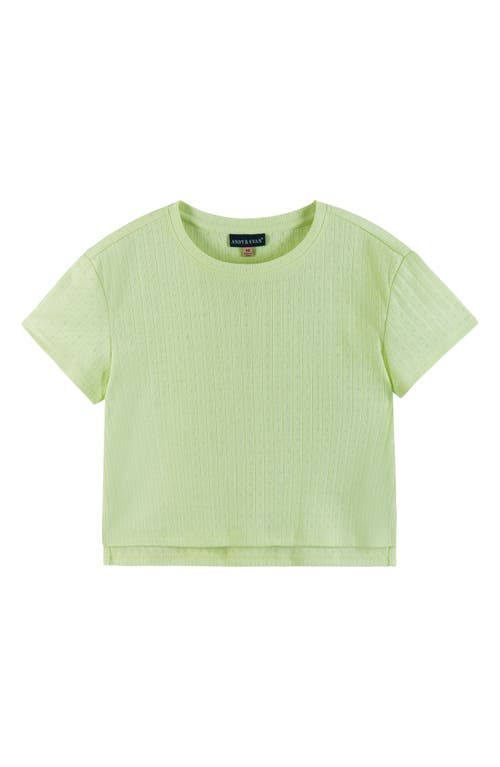 Andy & Evan Kids' Pointelle Cotton Short Pajamas In Lga