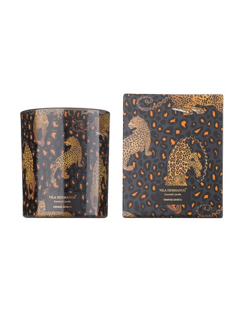 Vila Hermanos Vila Jungletropia Candle In Jar In Black