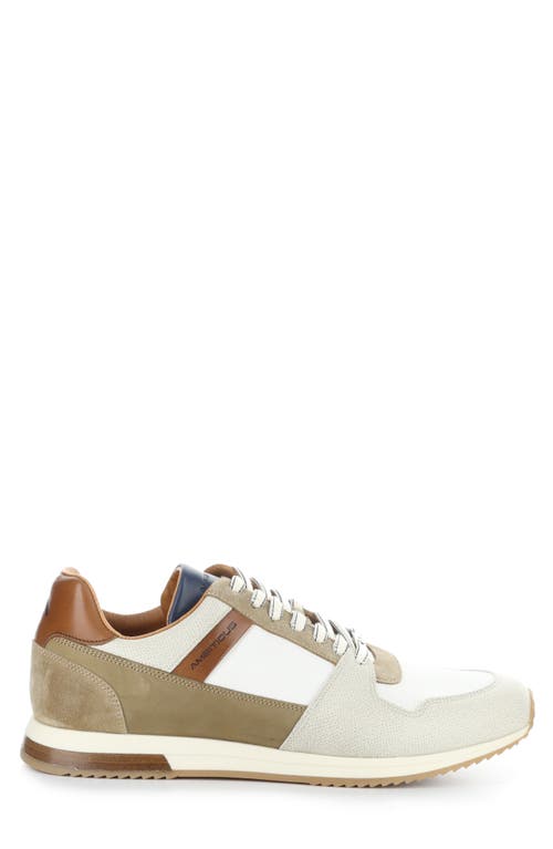Ambitious 11240 Perforated Sneaker In Grey/off White/camel Leather