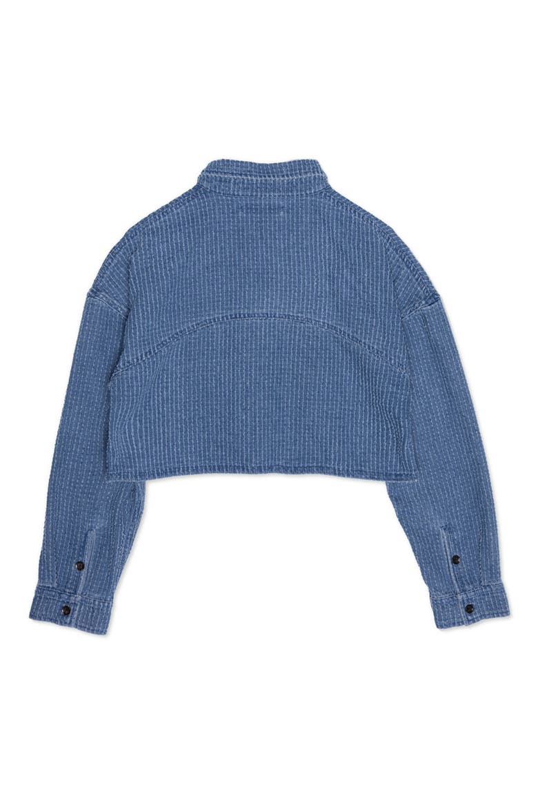 Crop Shop Jacket, Alternate, color, BLUE