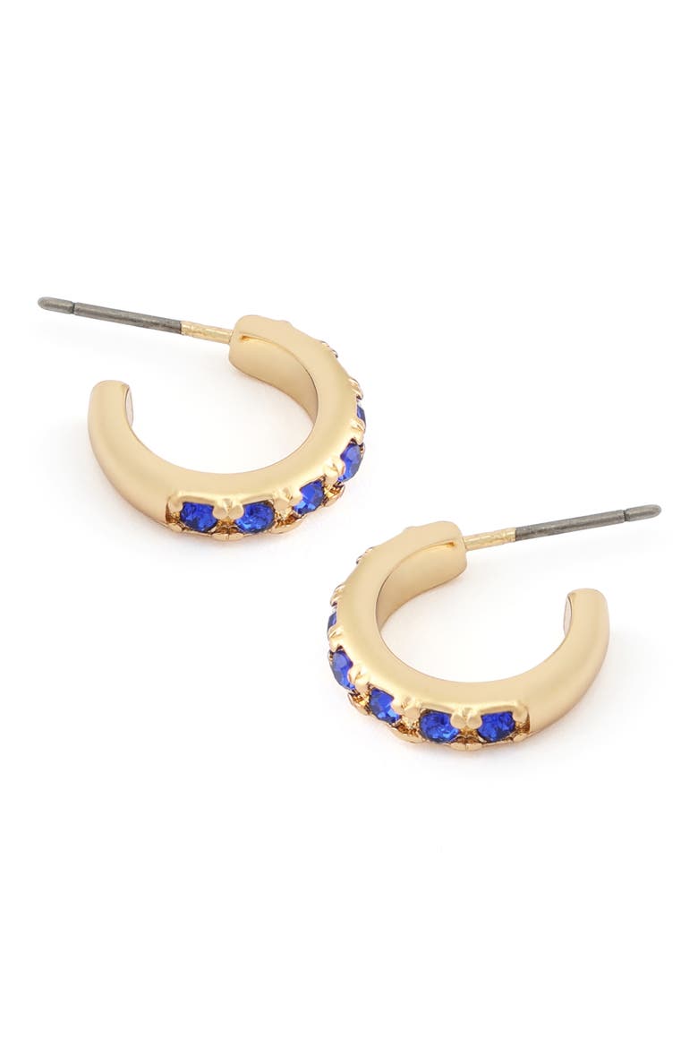 Stone Huggie Hoop Earrings, Alternate, color, BLUE