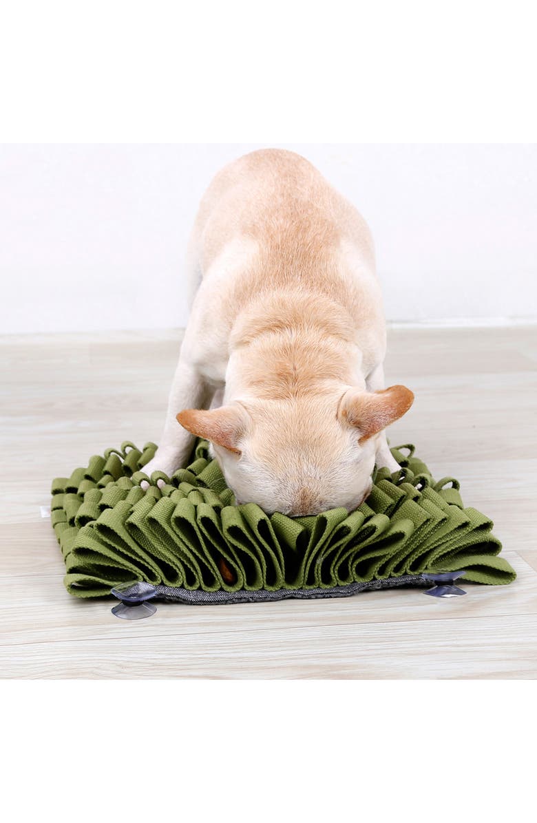 PET LIFE Sniffer Grip Interactive Anti-Skid Pet Snuffle Mat, Alternate, color, Green