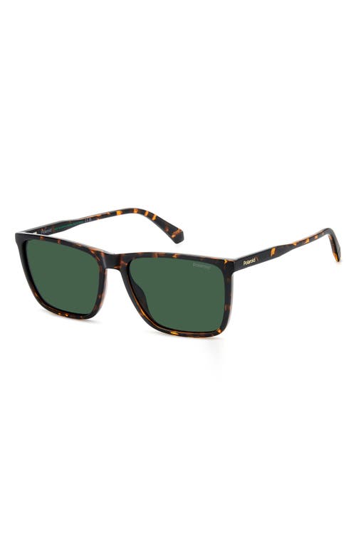 Polaroid 58mm Polarized Rectangular Sunglasses In Havana/green Polar