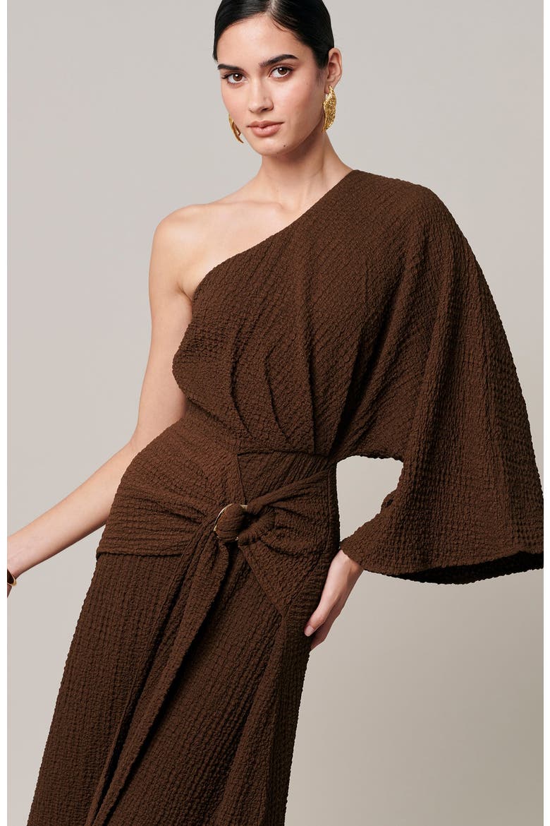 Ellie Midi Dress, Alternate, color, Chocolate