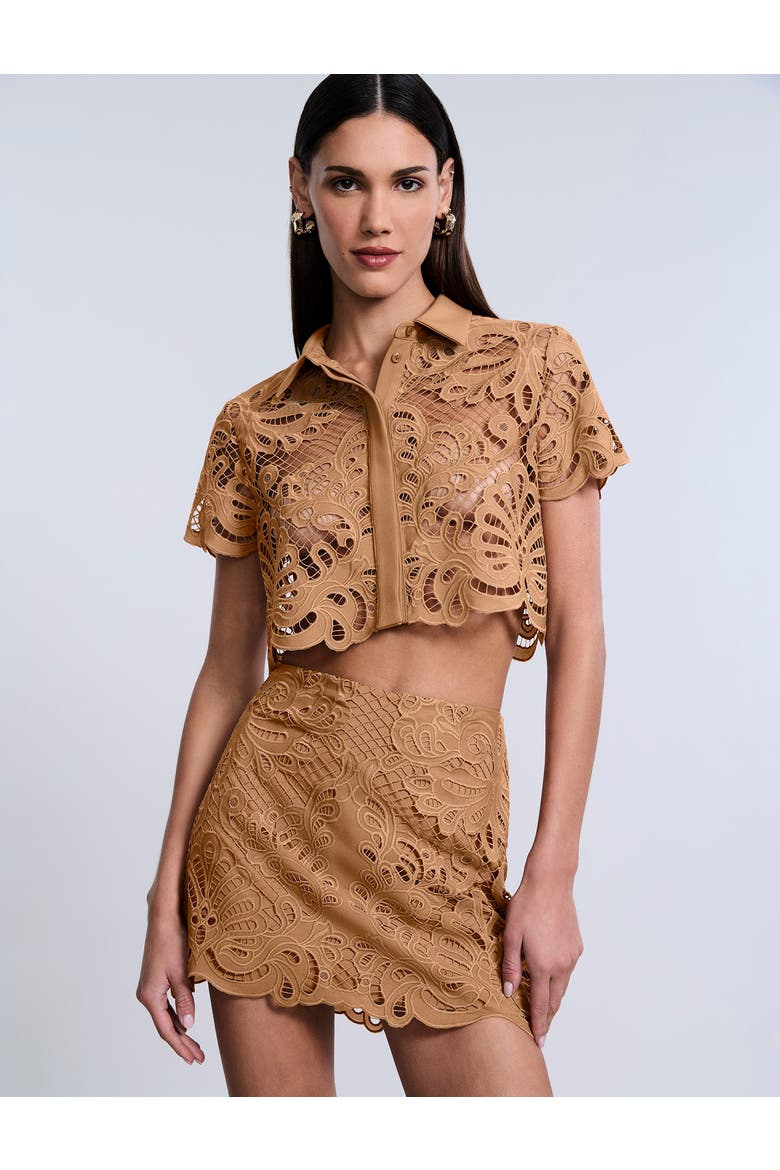 Eyelet Button Down Polo, Main, color, Brown Sugar