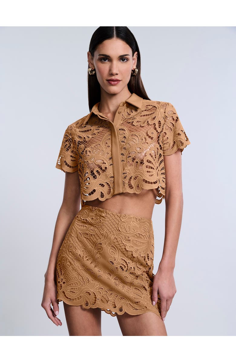 BCBGMAXAZRIA Eyelet Button Down Polo, Main, color, Brown Sugar