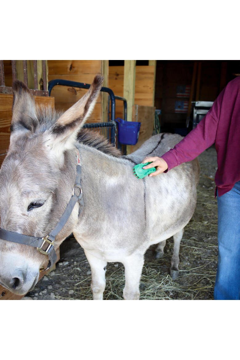 Horse Deshedding Brush, Alternate, color, Green