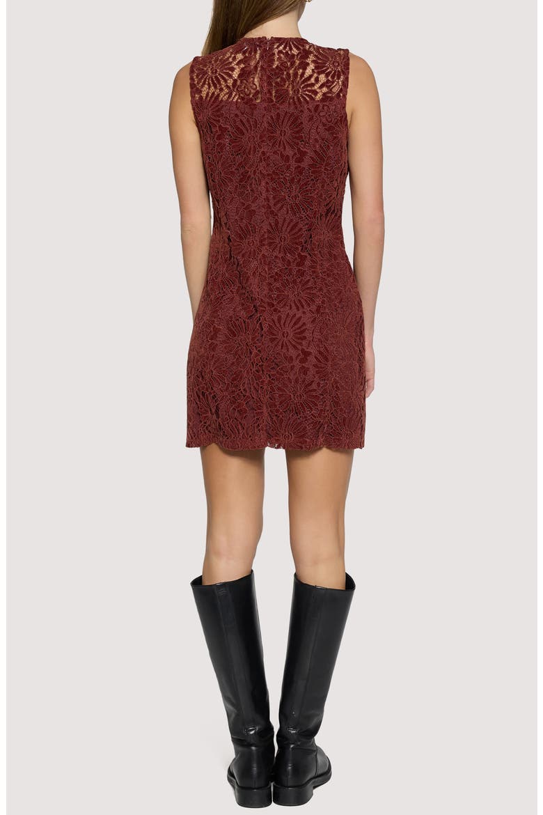 Merlot Whisper Floral Lace Minidress, Alternate, color, CHESTNUT