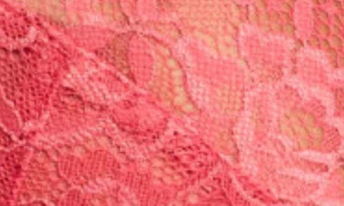 Montelle Intimates Muse Full Cup Lace Bra In Spiced Coral