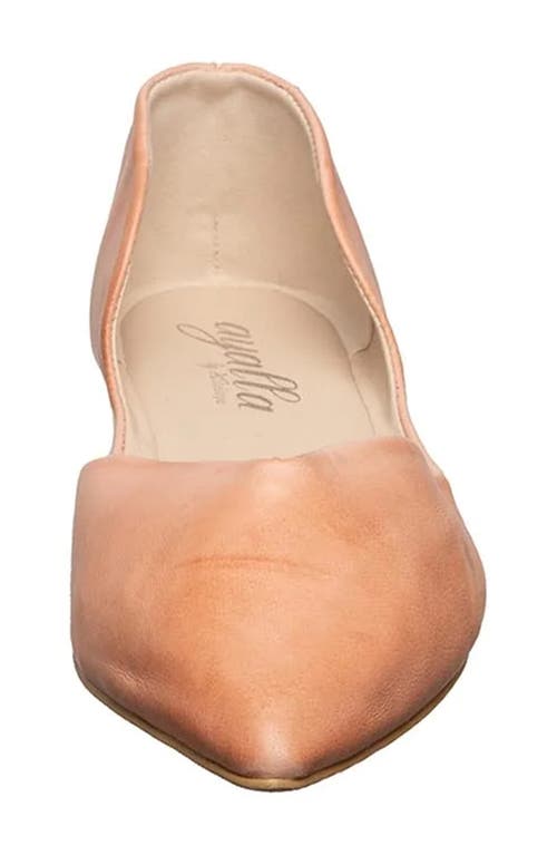 Antelope Thea Pointed Toe Flat In Nude