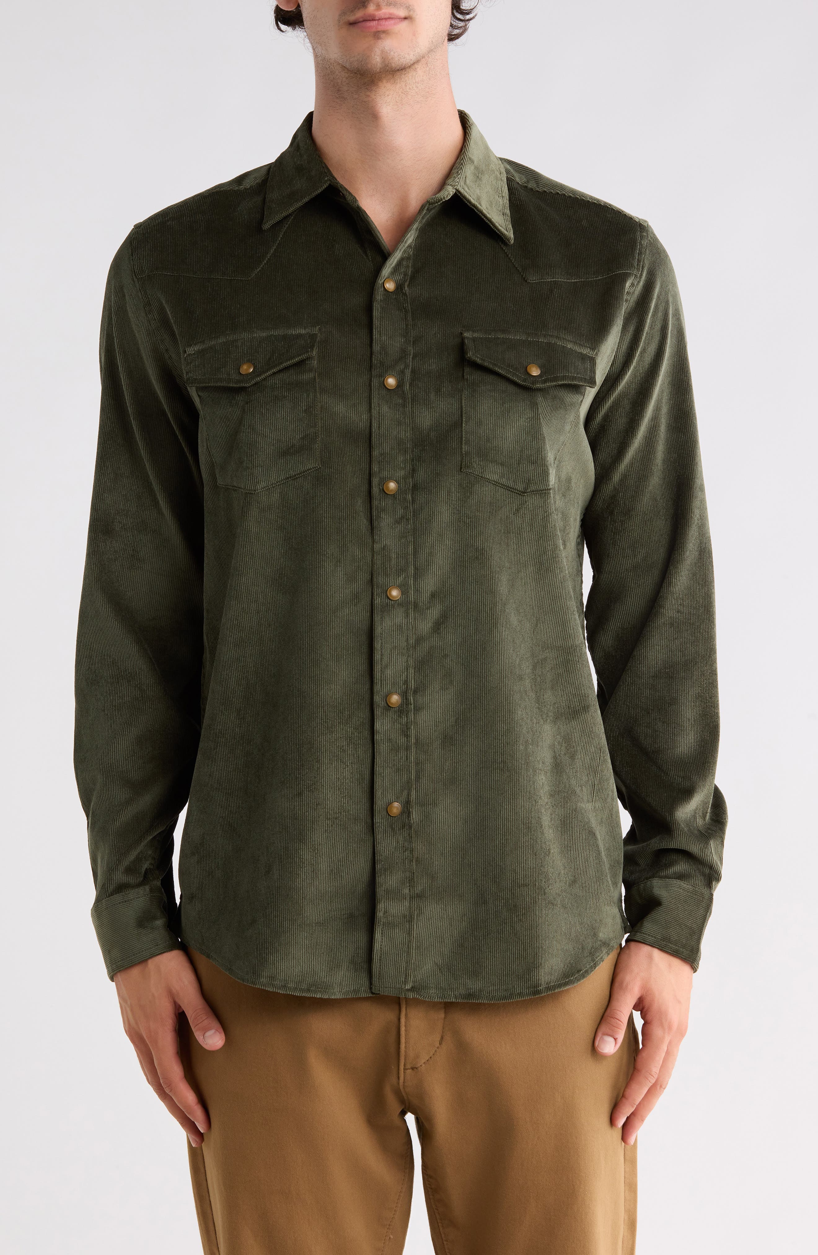 FOREST NIGHT OLIVE