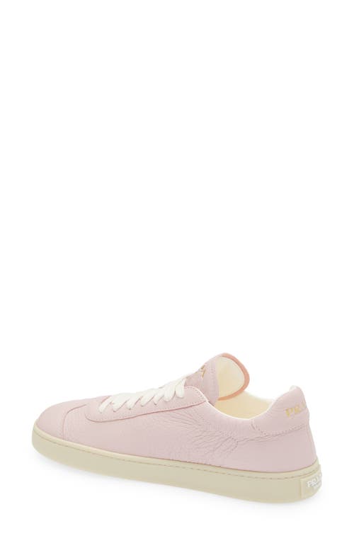 Shop Prada Lane Triangle Logo Deerskin Leather Sneaker In Alabastro