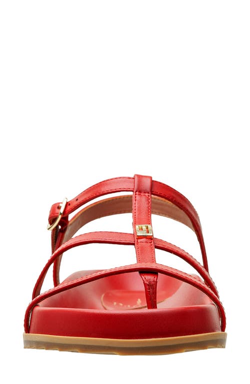 Shop Linea Paolo Lilith Ankle Strap Sandal In True Red