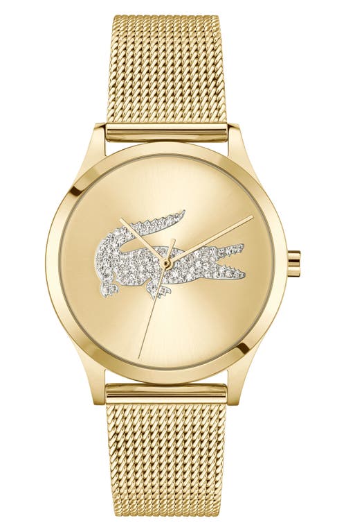 Lacoste Crocodelle Mesh Strap Watch, 36mm In Gold