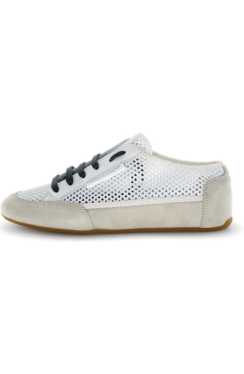 Candice Cooper Dafne 2 Sneaker, Alternate, color, Ice White