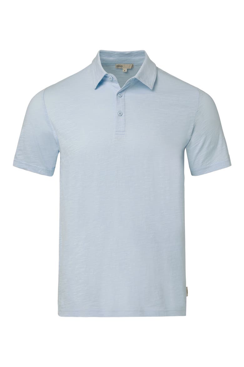 Cotton Slub Knit Polo, Alternate, color, ICE