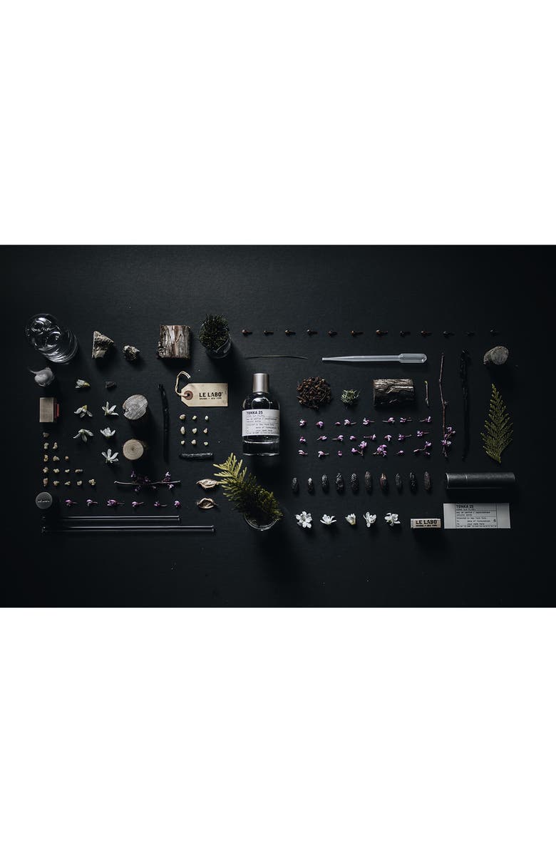 Le Labo Tonka 25 Eau de Parfum Natural Spray, Alternate, color, 