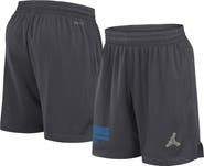 Jordan Brand Men's Jordan Brand Anthracite UCLA Bruins 2024 Sideline Performance Mesh Shorts