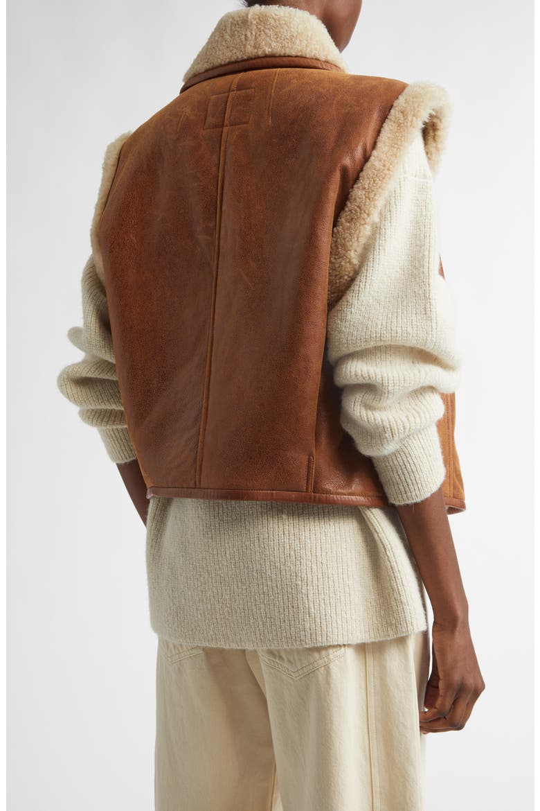 Alime Genuine Shearling Vest, Alternate, color, COGNAC