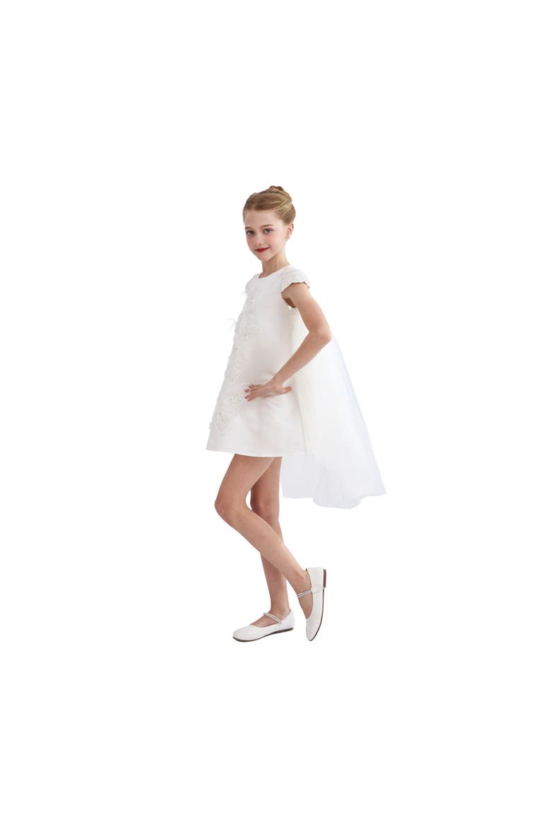 Embroidered Briavelle Dress, Alternate, color, White