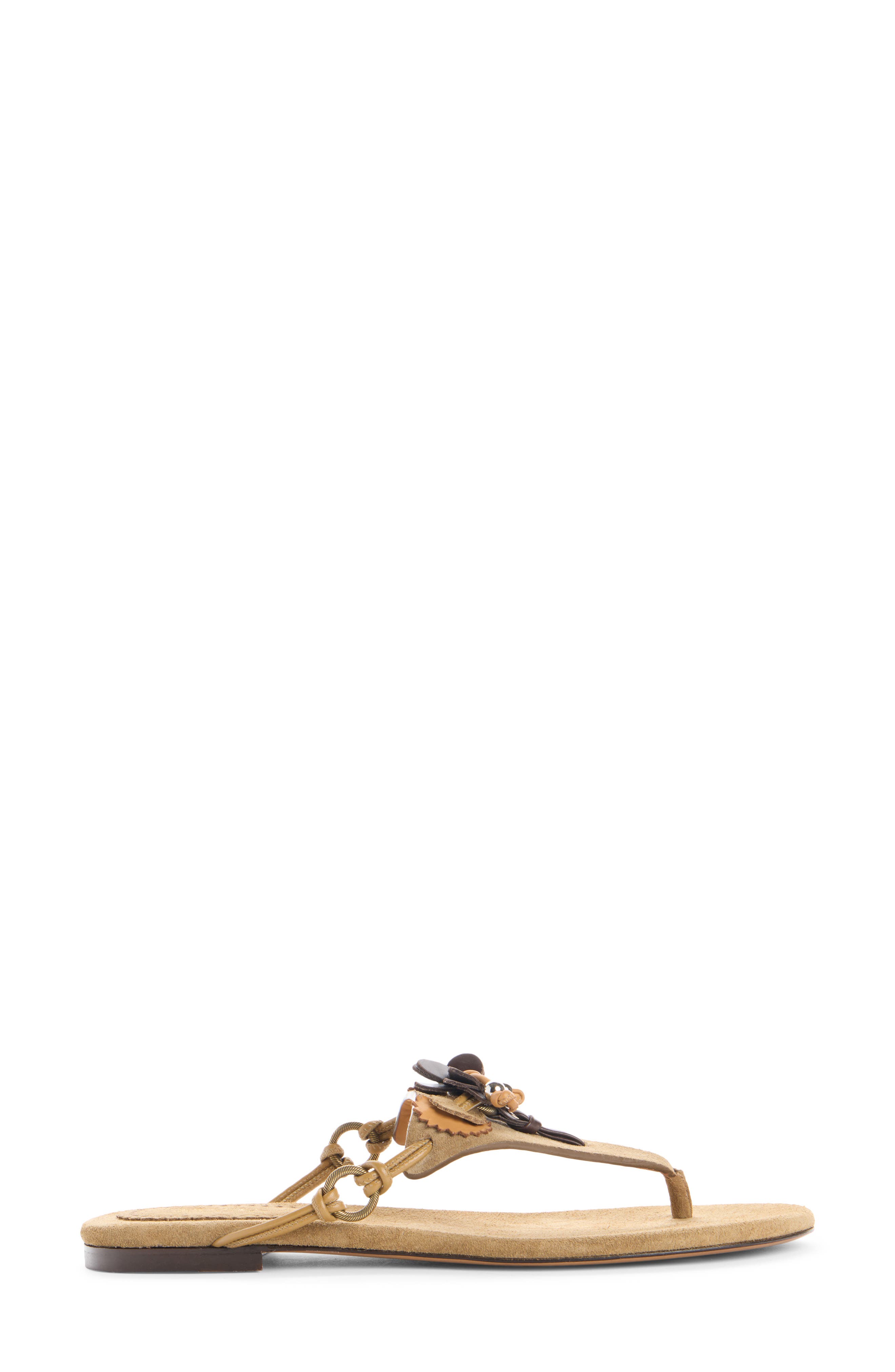 Isabel Marant Elato Embellished Flip Flop, Alternate, color, 50Ta Taupe