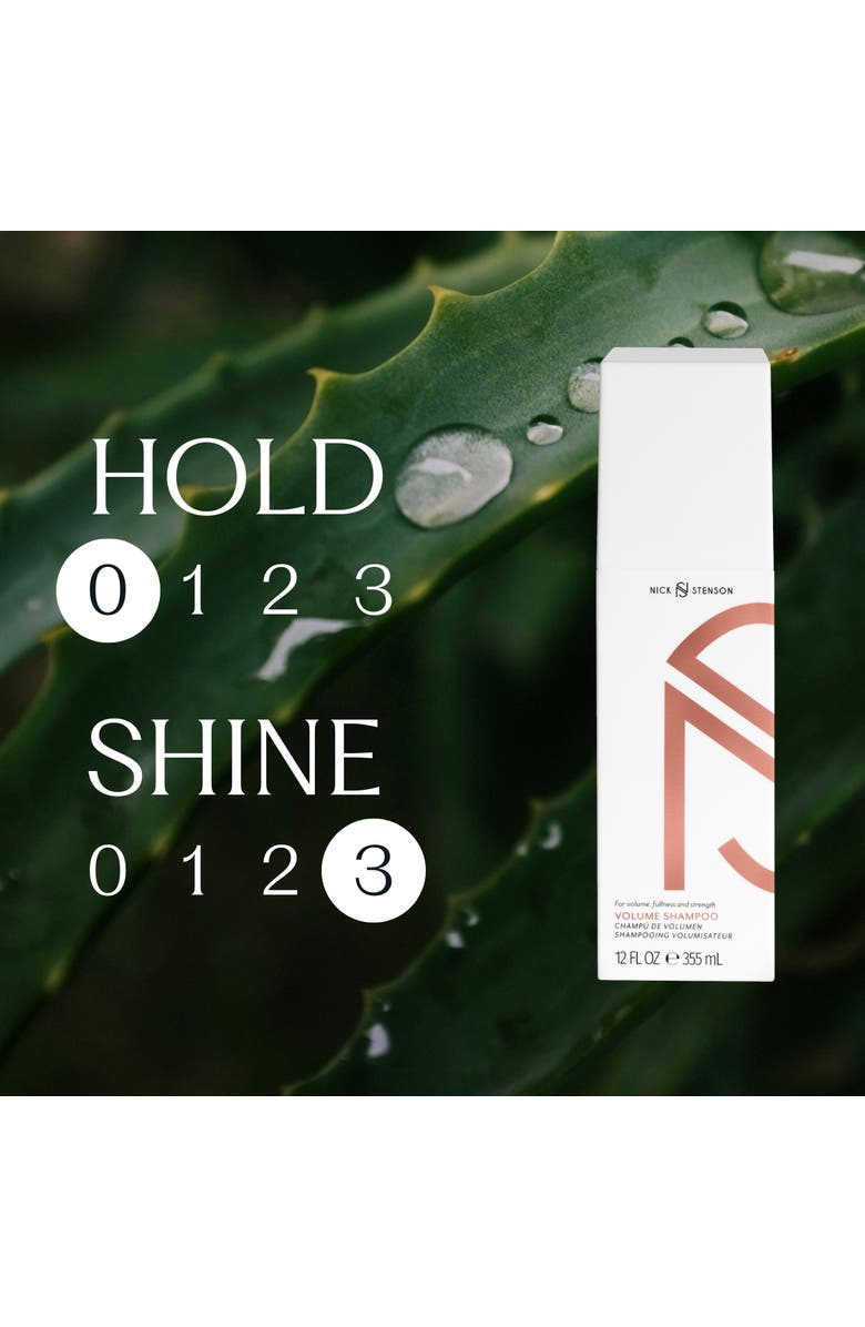 Nick Stenson Beauty Volume Shampoo, Alternate, color, 12 Oz.