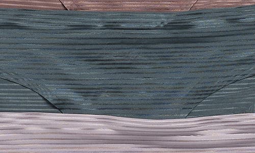 Danskin 5-pack Bonded Shadow Stripe Bikinis In Multi