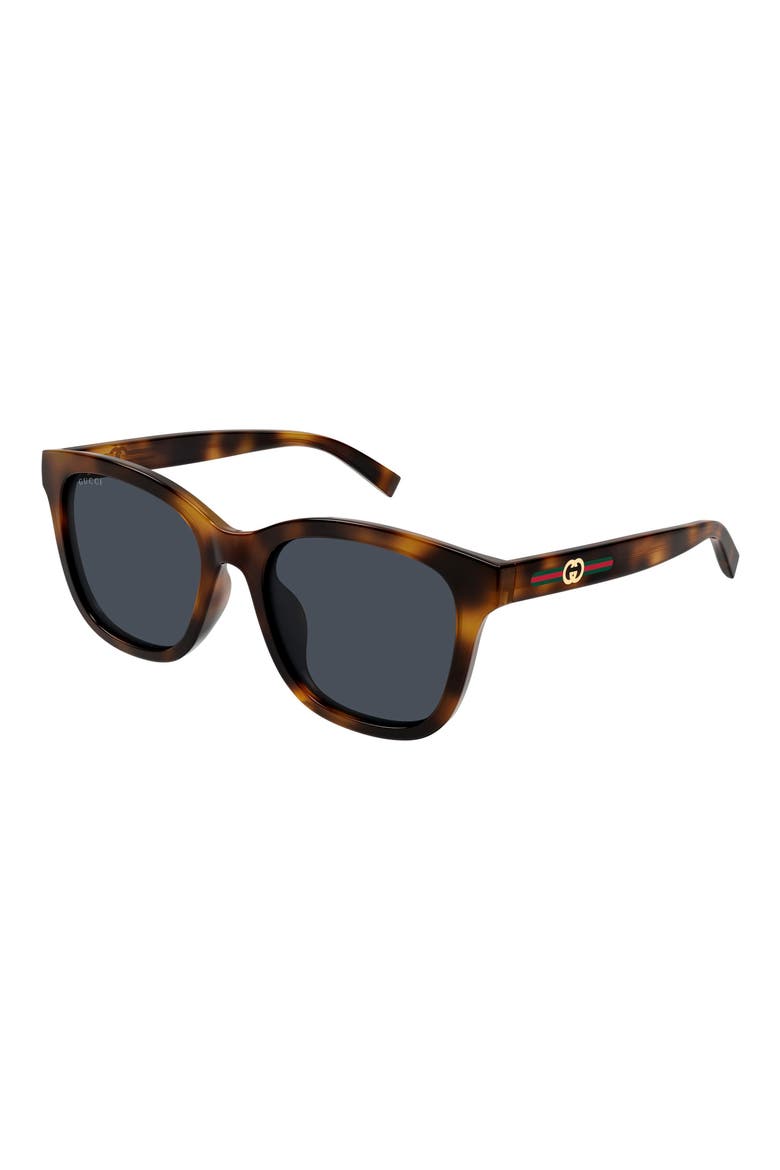 55mm Panthos Sunglasses, Alternate, color, HAVANA