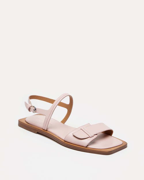 Shop Want Les Essentiels De La Vie Want Les Essentiels Holton Smooth Leather Flat Sandal In Blush