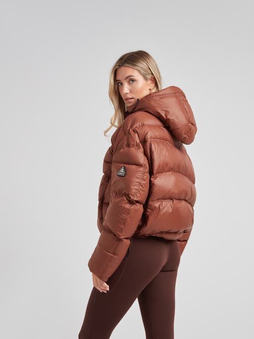 Jack1t Cloud Boss Hooded Puffer Jacket In Brown