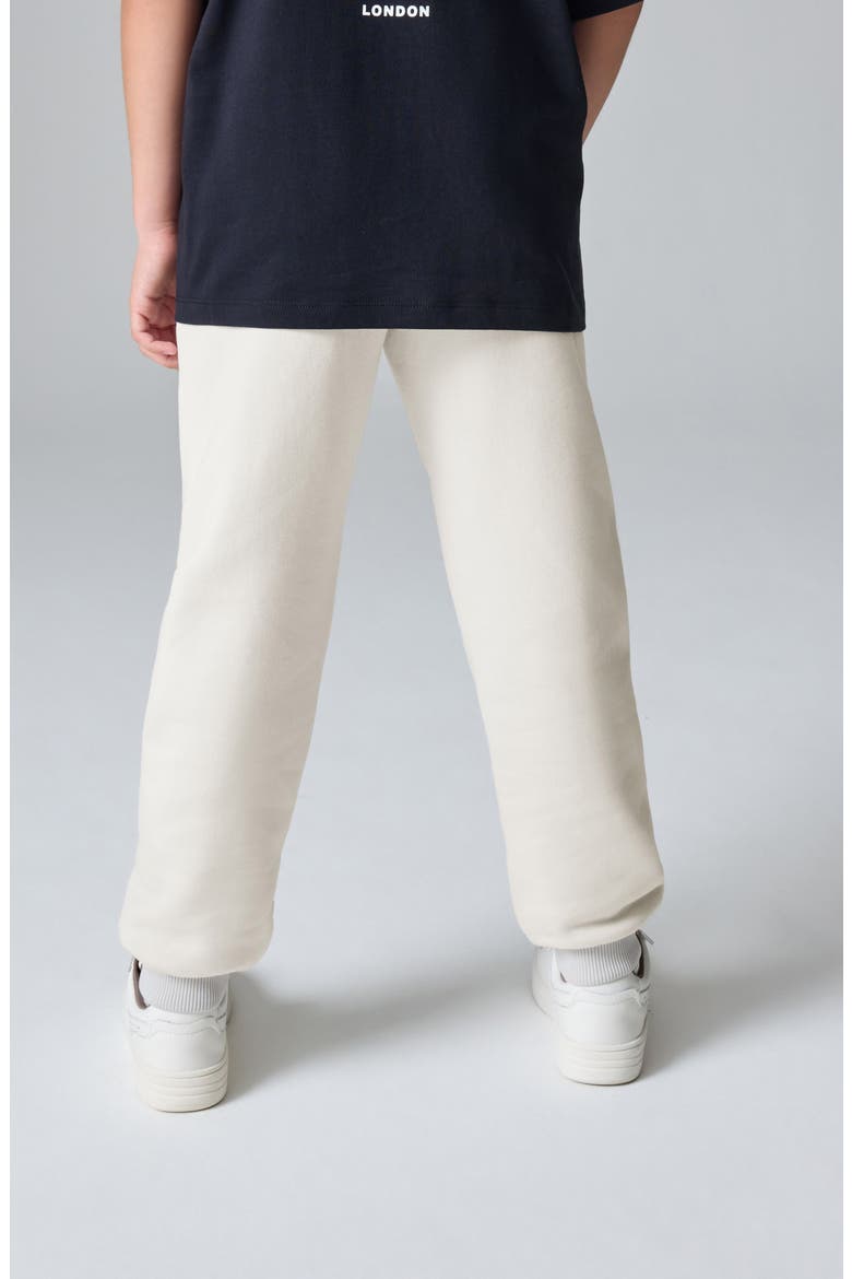 Kids Tierra Joggers, Alternate, color, GREY