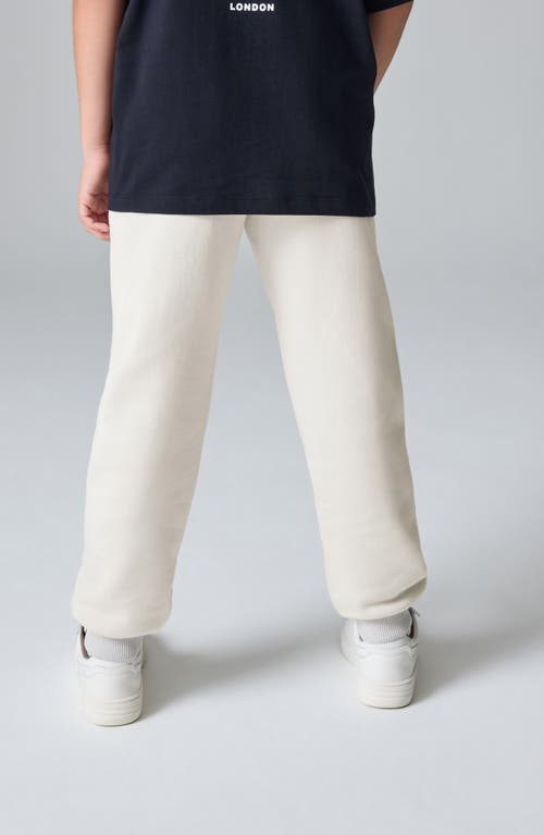 Smallsaints By Allsaints Kids Tierra Joggers In Gray