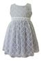 Lattice Lace Party Dress
