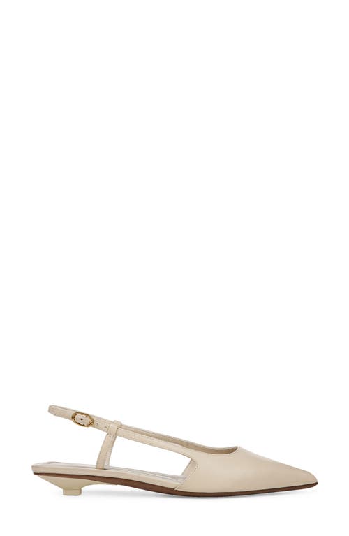 SARTO BY FRANCO SARTO SARTO BY FRANCO SARTO PHEBY SLINGBACK POINTED TOE FLAT