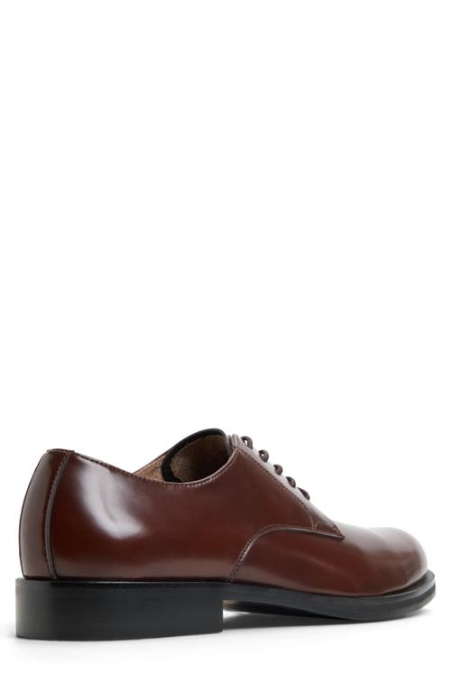 Call It Spring Donatello Derby In Cognac