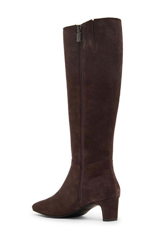 Blondo Stella Waterproof Knee High Boot In Brown