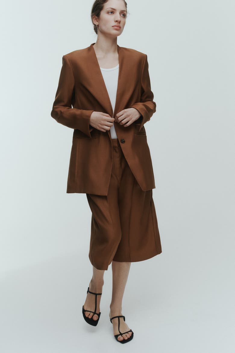 Lapelless Blazer, Alternate, color, Brown
