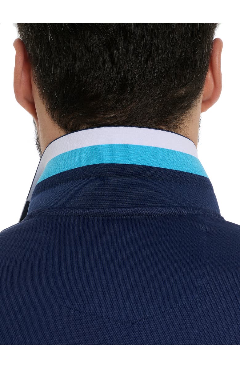 Robert Graham Skull Dice Embroidered Polo, Alternate, color,