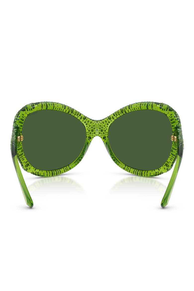 72mm Butterfly Sunglasses, Alternate, color, TRANSPARENT GREEN / DARK GREEN