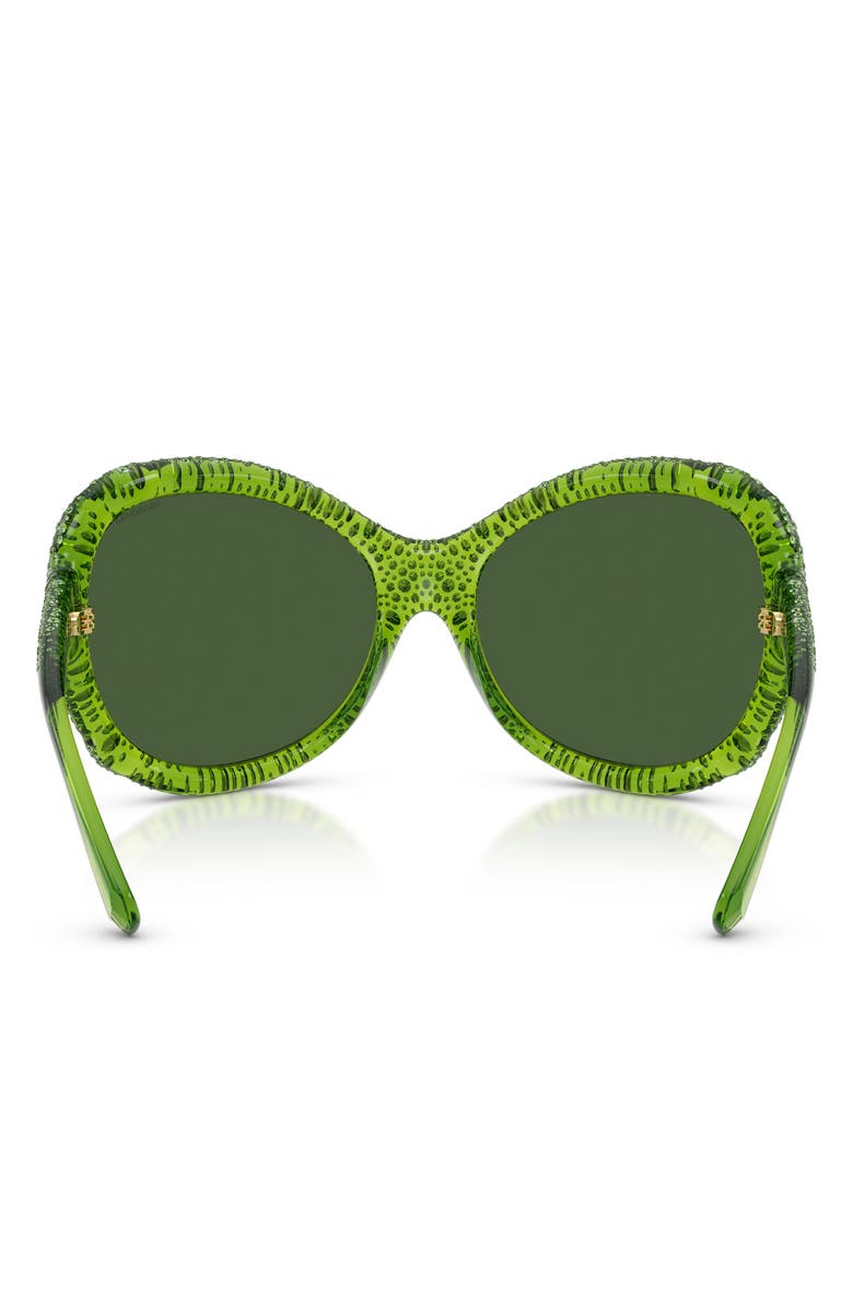 Swarovski 72mm Butterfly Sunglasses, Alternate, color, Transparent Green / Dark Green